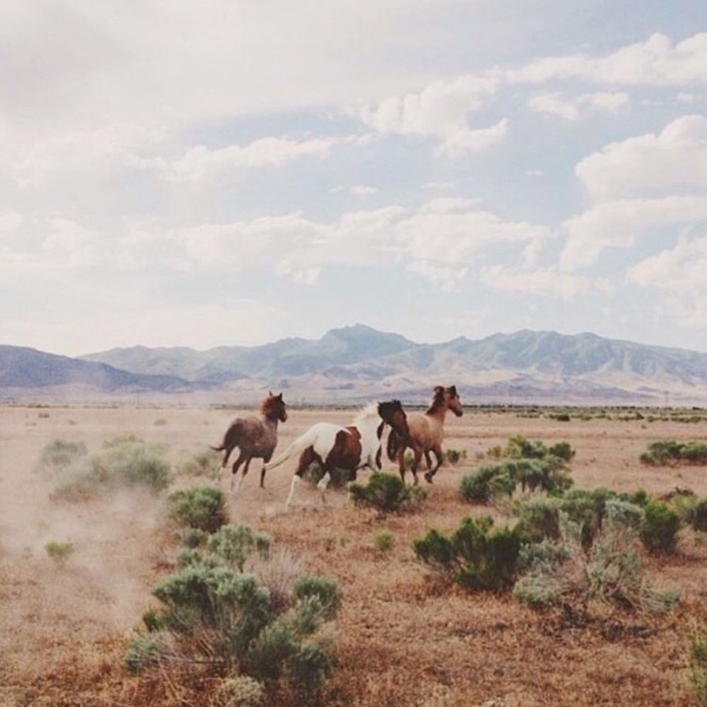 Meet your Posher, Miriam